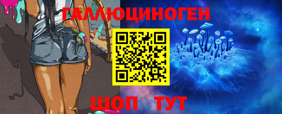 Псилоцибиновые грибы прущие грибы  Вход с VPN  Нижнекамск 